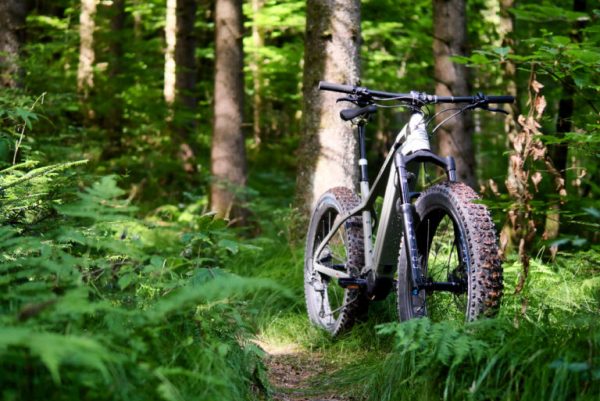 09AEEDC3-BF4C-43C6-ABFA-FCA5E346F7D0 09AEEDC3-BF4C-43C6-ABFA-FCA5E346F7D0