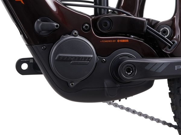 3D78F38D-BDB1-4152-9519-C0D9DB121F54 3D78F38D-BDB1-4152-9519-C0D9DB121F54